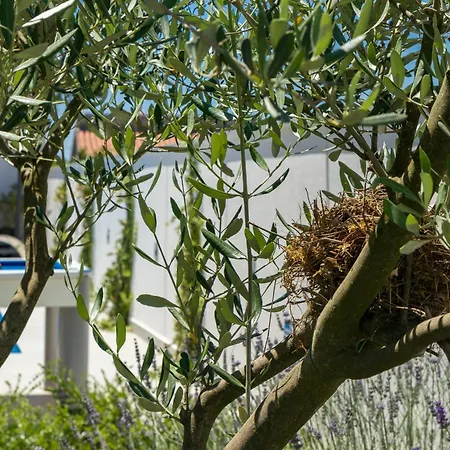 Casa L Pula